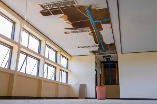 Best Water damage restoration experts  in Country Clu, CA