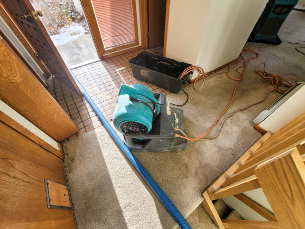 Best 24-hour water damage restoration  in Country Clu, CA