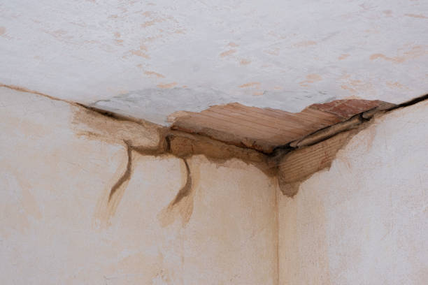 Best Water damage restoration near me  in Country Clu, CA