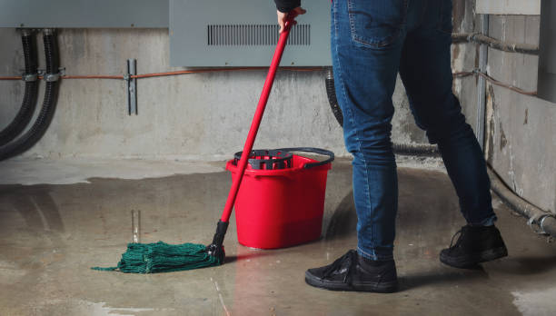 Best Water damage restoration specialists  in Country Clu, CA
