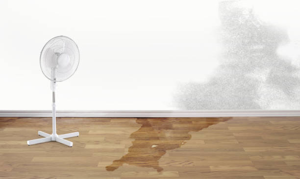 Best Water damage cleanup near me  in Country Clu, CA