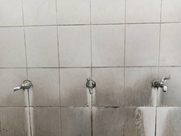 Best Water damage contractors near me  in Country Clu, CA