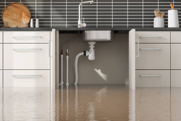 Best Professional water damage repair  in Country Clu, CA