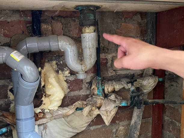 Best Water damage mitigation services  in Country Clu, CA