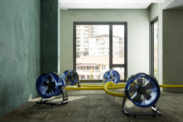 Best Water damage cleanup near me  in Country Clu, CA